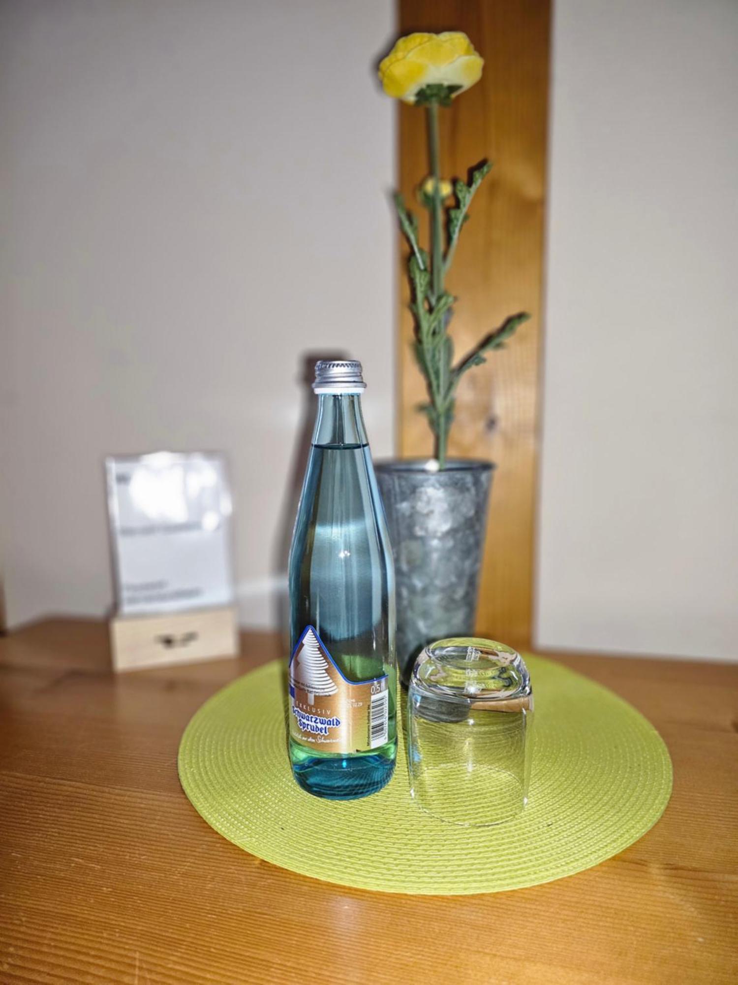 Landgasthaus Sternen Kehl المظهر الخارجي الصورة